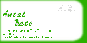 antal mate business card